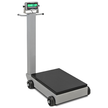 Detecto 5852F-205 Portable Digital Floor Scale 205 Indicator 500 lb Capacity 